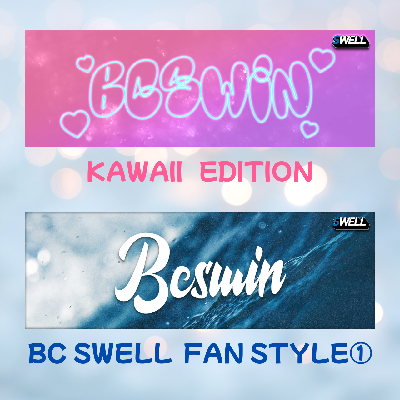 🎮 BC SWELL SUPPORTERS TICKET